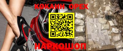 гашик Кандалакша