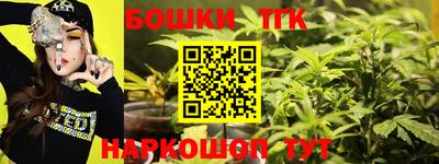 гашик Кандалакша
