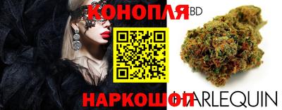 MDMA Premium VHQ Камышлов