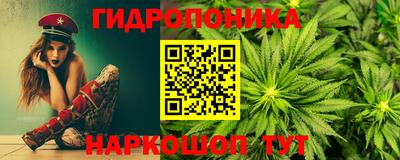 гашик Кандалакша