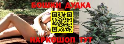 гашик Кандалакша