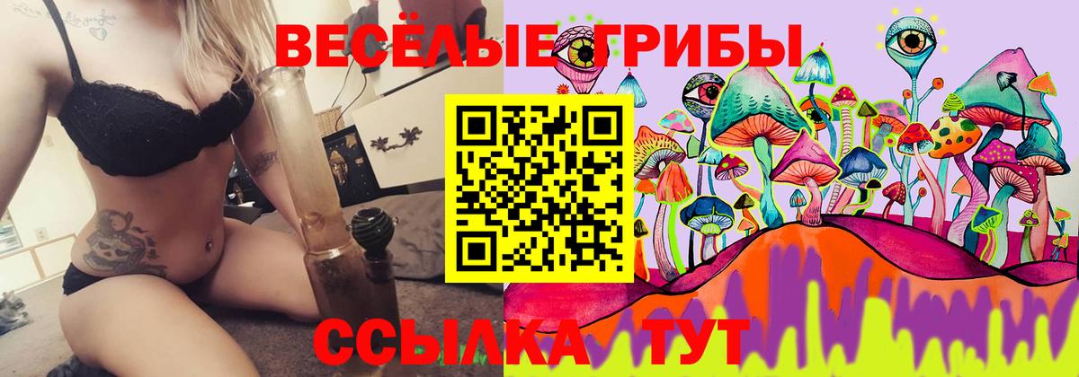 купить наркоту  Псилоцибиновые грибы ЛСД  Вход с VPN  Котовск 